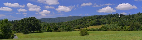 Louisa County Farms for Sale