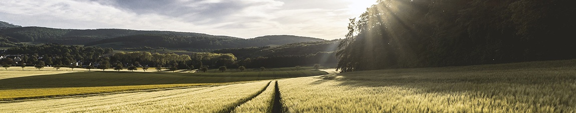 Mountain Farmland in Virginia