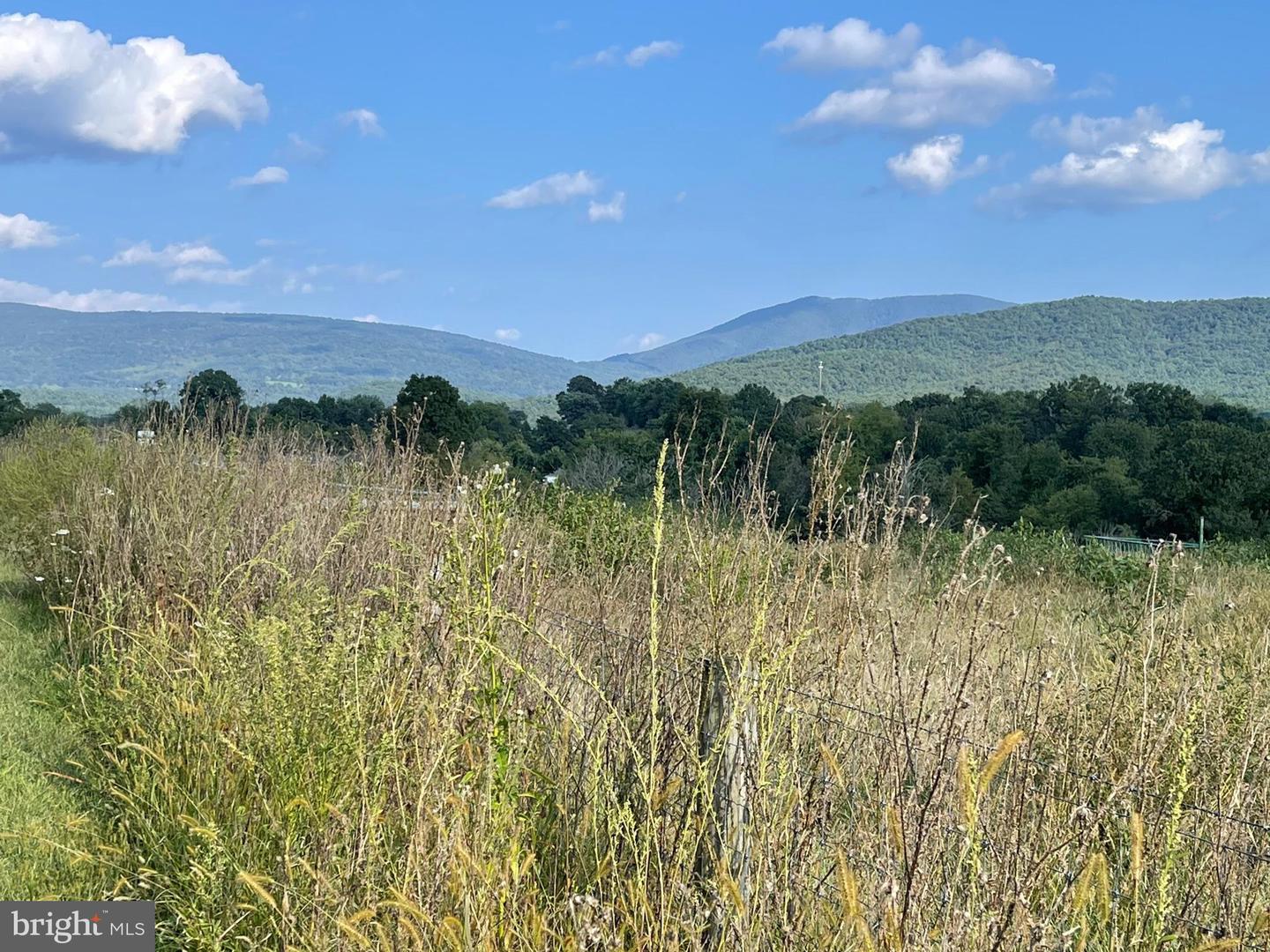 ATKINS DRIVE, LURAY, Virginia 22835, ,Land,For Sale,ATKINS DRIVE,VAPA2001686 MLS # VAPA2001686