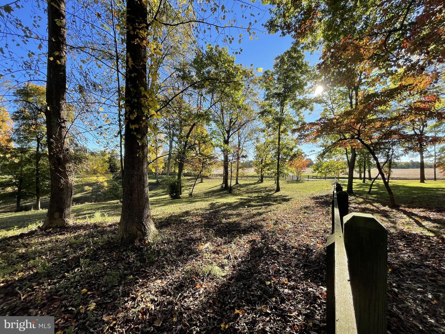 317 COLES POINT RD, HAGUE, Virginia 22469, 7 Bedrooms Bedrooms, ,6 BathroomsBathrooms,Residential,For Sale,317 COLES POINT RD,VAWE2003406 MLS # VAWE2003406 317 COLES POINT RD, HAGUE, Virginia 22469, 7 Bedrooms Bedrooms, ,6 BathroomsBathrooms,Residential,For Sale,317 COLES POINT RD,VAWE2003406 MLS # VAWE2003406