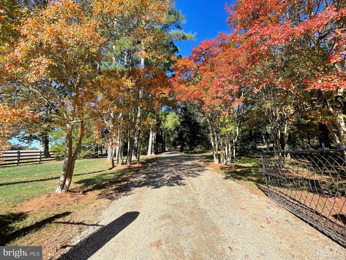 317 COLES POINT RD, HAGUE, Virginia 22469, 7 Bedrooms Bedrooms, ,6 BathroomsBathrooms,Residential,For Sale,317 COLES POINT RD,VAWE2003406 MLS # VAWE2003406 317 COLES POINT RD, HAGUE, Virginia 22469, 7 Bedrooms Bedrooms, ,6 BathroomsBathrooms,Residential,For Sale,317 COLES POINT RD,VAWE2003406 MLS # VAWE2003406