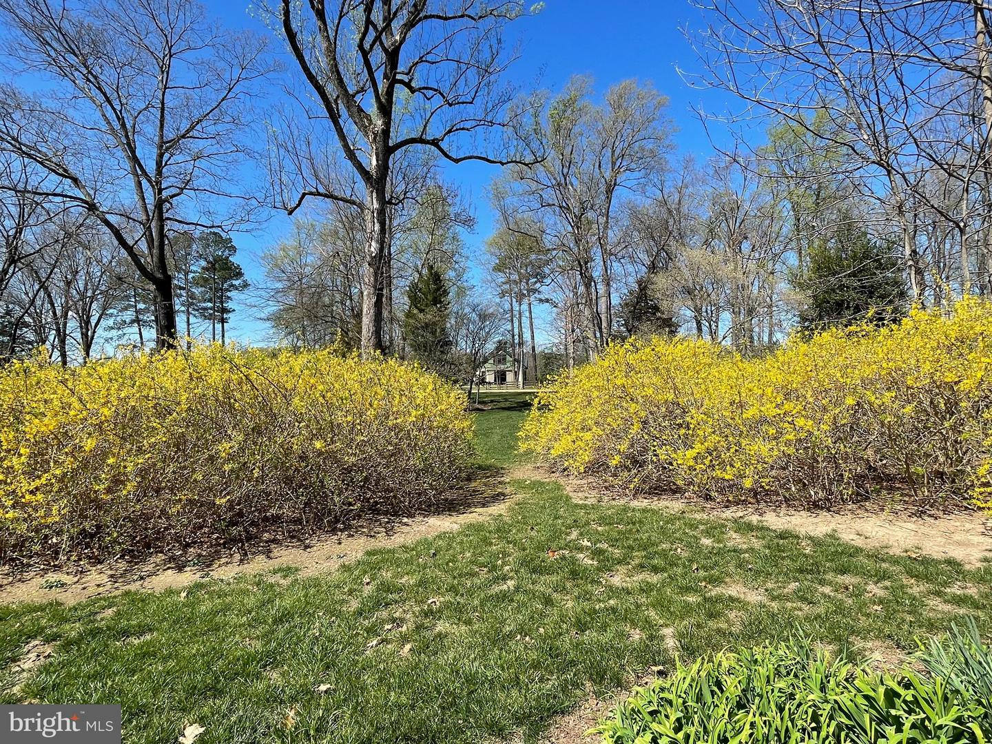 317 COLES POINT RD, HAGUE, Virginia 22469, 7 Bedrooms Bedrooms, ,6 BathroomsBathrooms,Residential,For Sale,317 COLES POINT RD,VAWE2003406 MLS # VAWE2003406 317 COLES POINT RD, HAGUE, Virginia 22469, 7 Bedrooms Bedrooms, ,6 BathroomsBathrooms,Residential,For Sale,317 COLES POINT RD,VAWE2003406 MLS # VAWE2003406