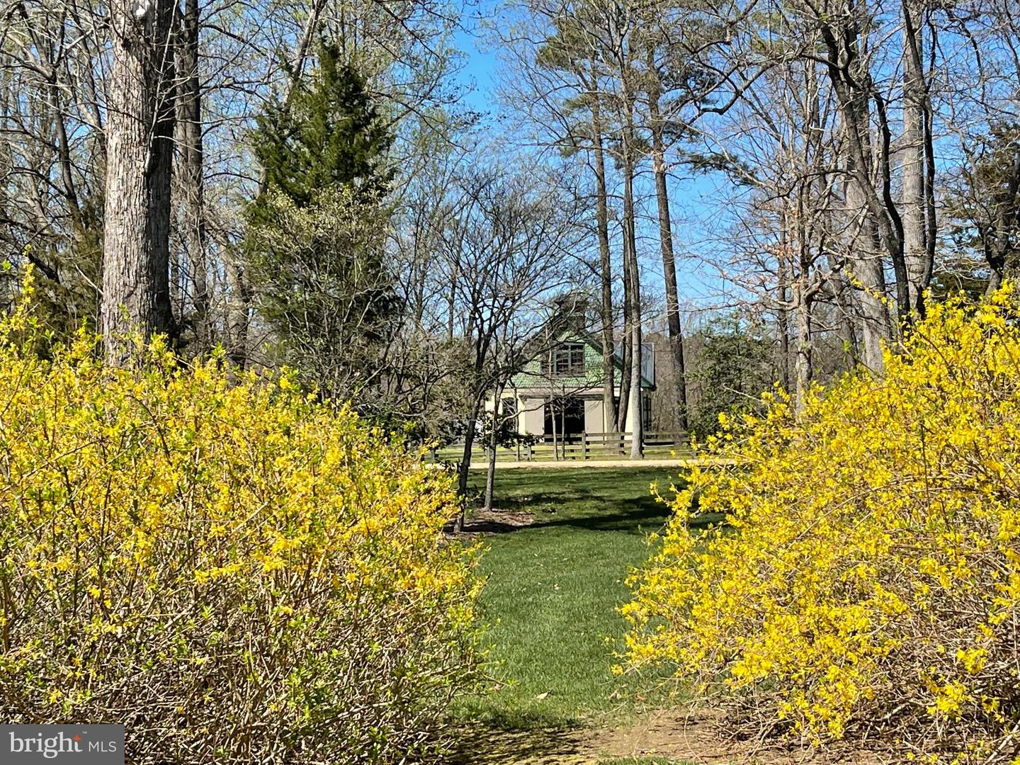 317 COLES POINT RD, HAGUE, Virginia 22469, 7 Bedrooms Bedrooms, ,6 BathroomsBathrooms,Residential,For Sale,317 COLES POINT RD,VAWE2003406 MLS # VAWE2003406 317 COLES POINT RD, HAGUE, Virginia 22469, 7 Bedrooms Bedrooms, ,6 BathroomsBathrooms,Residential,For Sale,317 COLES POINT RD,VAWE2003406 MLS # VAWE2003406