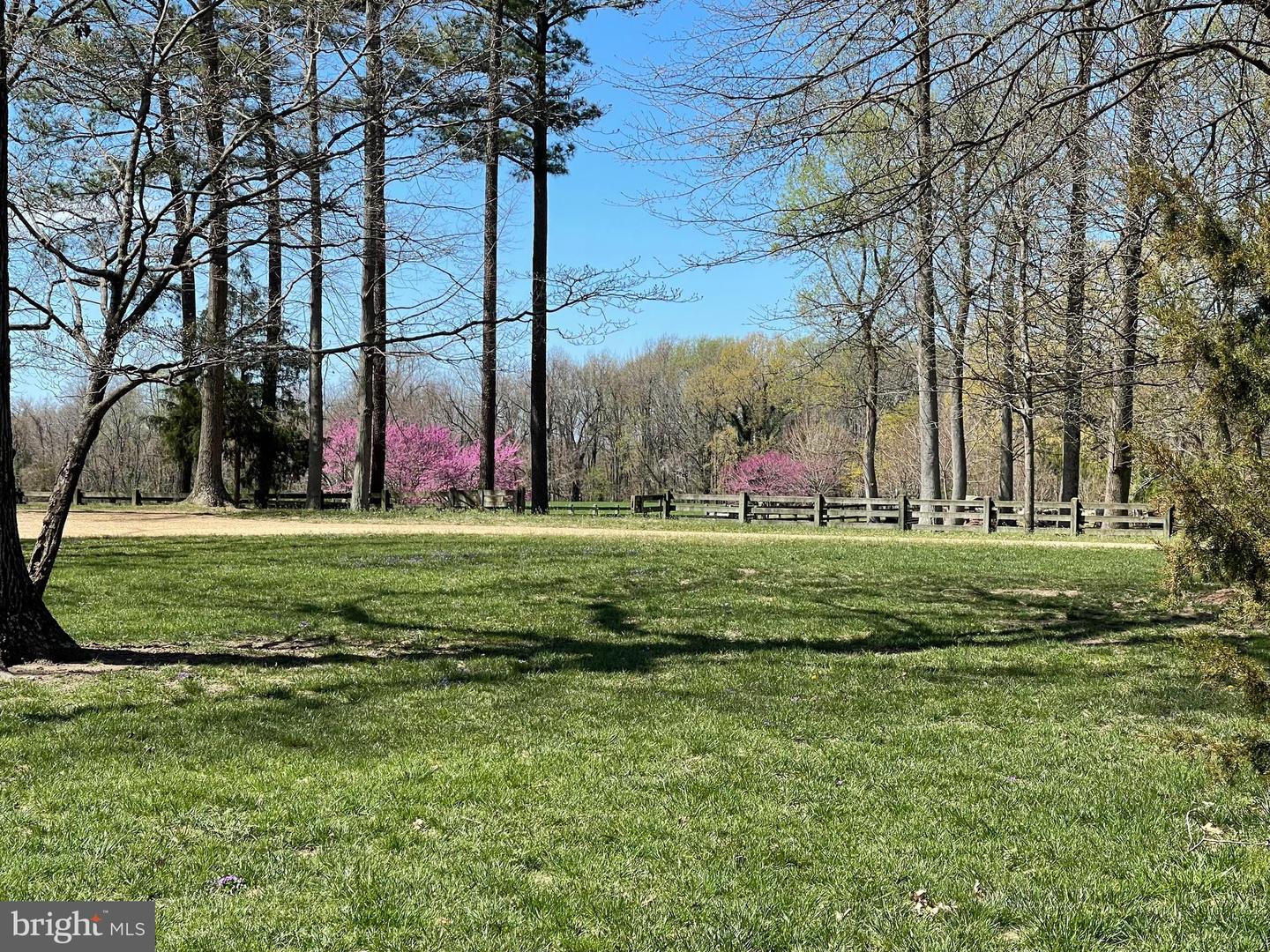 317 COLES POINT RD, HAGUE, Virginia 22469, 7 Bedrooms Bedrooms, ,6 BathroomsBathrooms,Residential,For Sale,317 COLES POINT RD,VAWE2003406 MLS # VAWE2003406 317 COLES POINT RD, HAGUE, Virginia 22469, 7 Bedrooms Bedrooms, ,6 BathroomsBathrooms,Residential,For Sale,317 COLES POINT RD,VAWE2003406 MLS # VAWE2003406