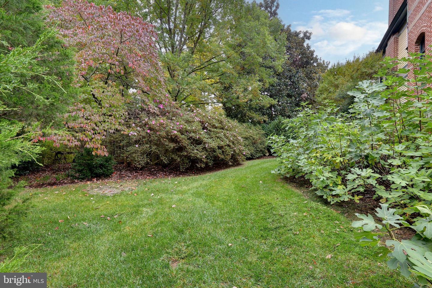 317 COLES POINT RD, HAGUE, Virginia 22469, 7 Bedrooms Bedrooms, ,6 BathroomsBathrooms,Residential,For Sale,317 COLES POINT RD,VAWE2003406 MLS # VAWE2003406 317 COLES POINT RD, HAGUE, Virginia 22469, 7 Bedrooms Bedrooms, ,6 BathroomsBathrooms,Residential,For Sale,317 COLES POINT RD,VAWE2003406 MLS # VAWE2003406