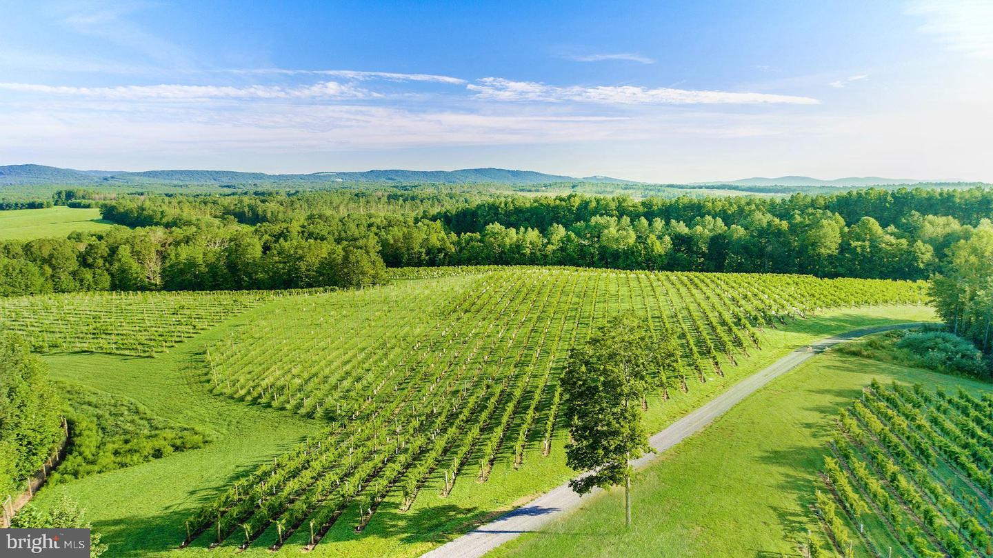 510 MOUNT PLEASANT FARM ROAD, SCOTTSVILLE, Virginia 24590, ,Farm,For Sale,510 MOUNT PLEASANT FARM ROAD,VAAB2000432 MLS # VAAB2000432 510 MOUNT PLEASANT FARM ROAD, SCOTTSVILLE, Virginia 24590, ,Farm,For Sale,510 MOUNT PLEASANT FARM ROAD,VAAB2000432 MLS # VAAB2000432