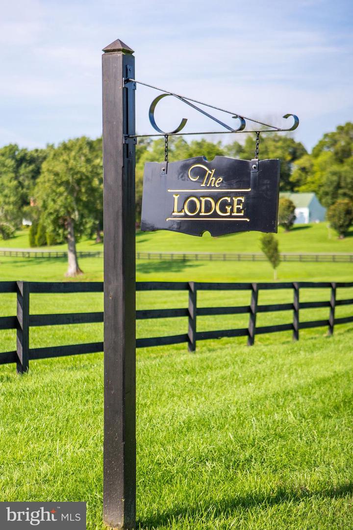 510 MOUNT PLEASANT FARM ROAD, SCOTTSVILLE, Virginia 24590, ,Farm,For Sale,510 MOUNT PLEASANT FARM ROAD,VAAB2000432 MLS # VAAB2000432 510 MOUNT PLEASANT FARM ROAD, SCOTTSVILLE, Virginia 24590, ,Farm,For Sale,510 MOUNT PLEASANT FARM ROAD,VAAB2000432 MLS # VAAB2000432