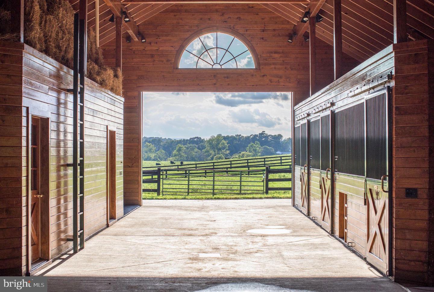 510 MOUNT PLEASANT FARM ROAD, SCOTTSVILLE, Virginia 24590, ,Farm,For Sale,510 MOUNT PLEASANT FARM ROAD,VAAB2000432 MLS # VAAB2000432 510 MOUNT PLEASANT FARM ROAD, SCOTTSVILLE, Virginia 24590, ,Farm,For Sale,510 MOUNT PLEASANT FARM ROAD,VAAB2000432 MLS # VAAB2000432