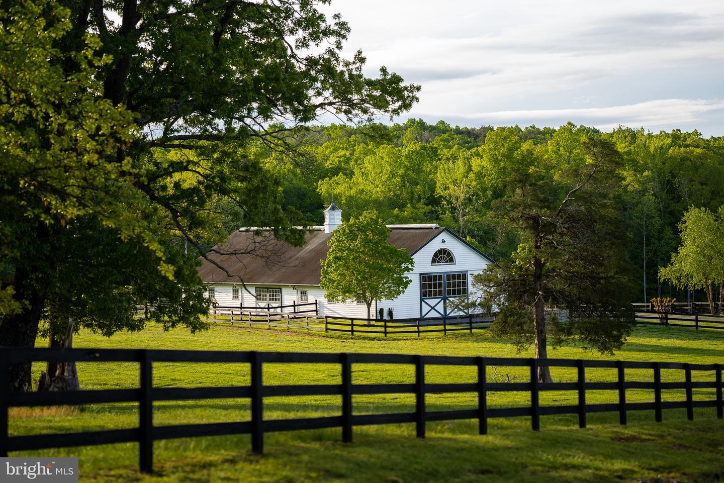 510 MOUNT PLEASANT FARM ROAD, SCOTTSVILLE, Virginia 24590, ,Farm,For Sale,510 MOUNT PLEASANT FARM ROAD,VAAB2000432 MLS # VAAB2000432 510 MOUNT PLEASANT FARM ROAD, SCOTTSVILLE, Virginia 24590, ,Farm,For Sale,510 MOUNT PLEASANT FARM ROAD,VAAB2000432 MLS # VAAB2000432
