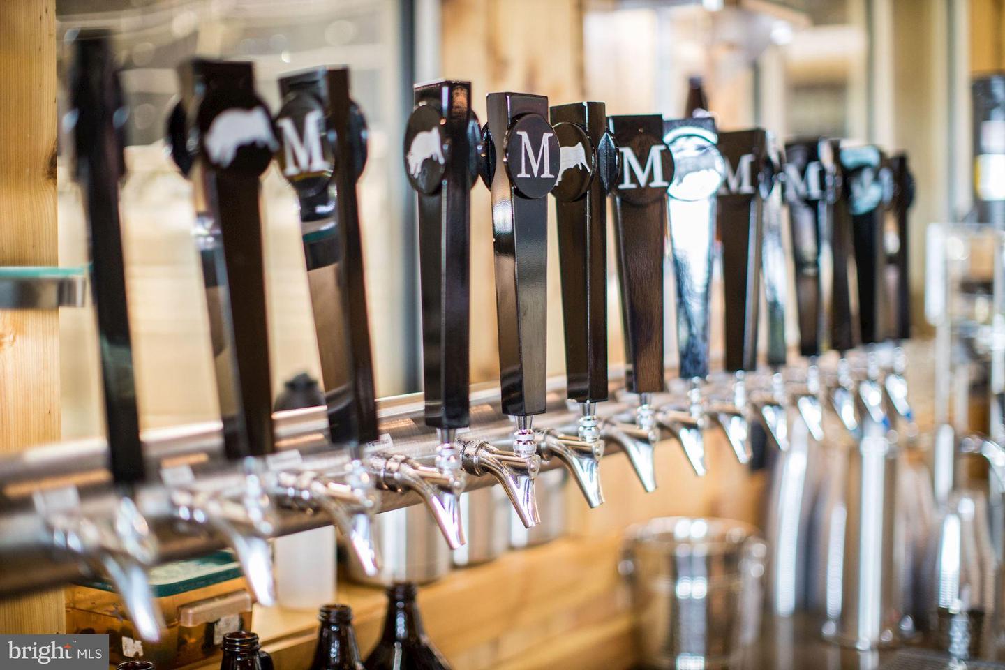 510 MOUNT PLEASANT FARM ROAD, SCOTTSVILLE, Virginia 24590, ,Farm,For Sale,510 MOUNT PLEASANT FARM ROAD,VAAB2000432 MLS # VAAB2000432 510 MOUNT PLEASANT FARM ROAD, SCOTTSVILLE, Virginia 24590, ,Farm,For Sale,510 MOUNT PLEASANT FARM ROAD,VAAB2000432 MLS # VAAB2000432