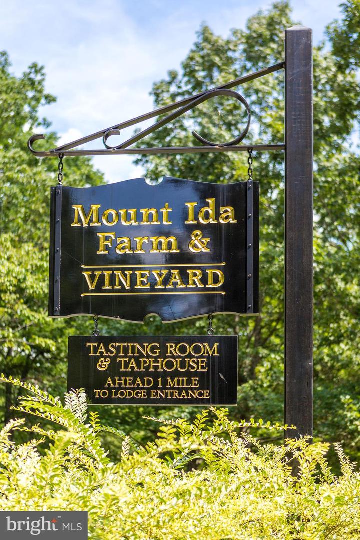 510 MOUNT PLEASANT FARM ROAD, SCOTTSVILLE, Virginia 24590, ,Farm,For Sale,510 MOUNT PLEASANT FARM ROAD,VAAB2000430 MLS # VAAB2000430