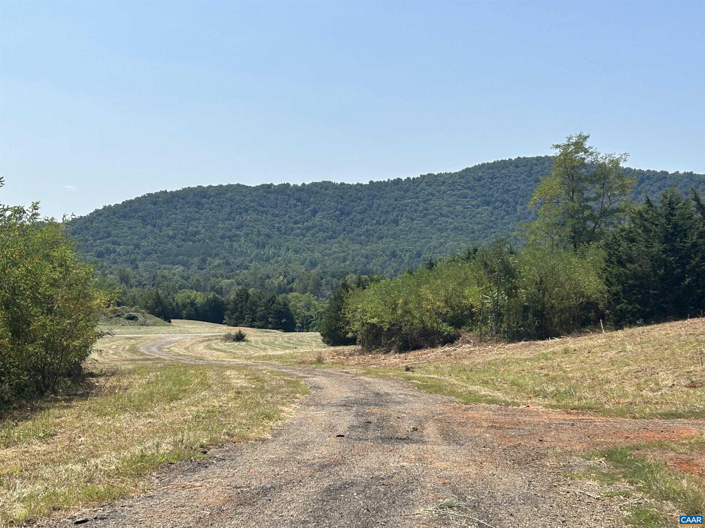 TBD STONE BROOK DR, STANARDSVILLE, Virginia 22973, ,Farm,For Sale,TBD STONE BROOK DR,644808 MLS # 644808