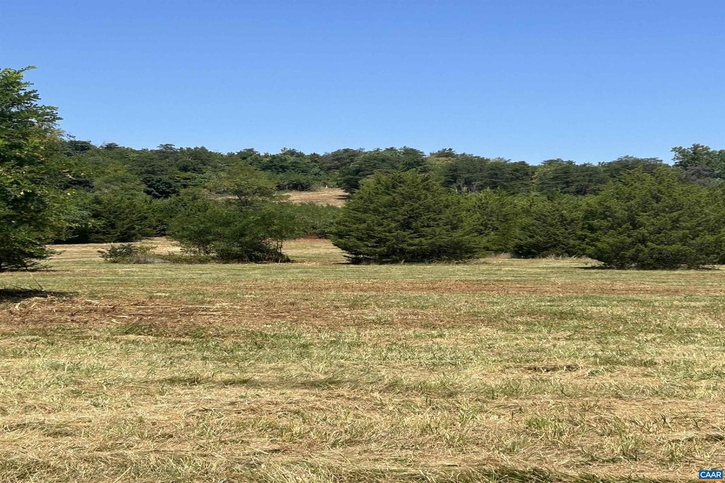 TBD STONE BROOK DR, STANARDSVILLE, Virginia 22973, ,Farm,For Sale,TBD STONE BROOK DR,644808 MLS # 644808