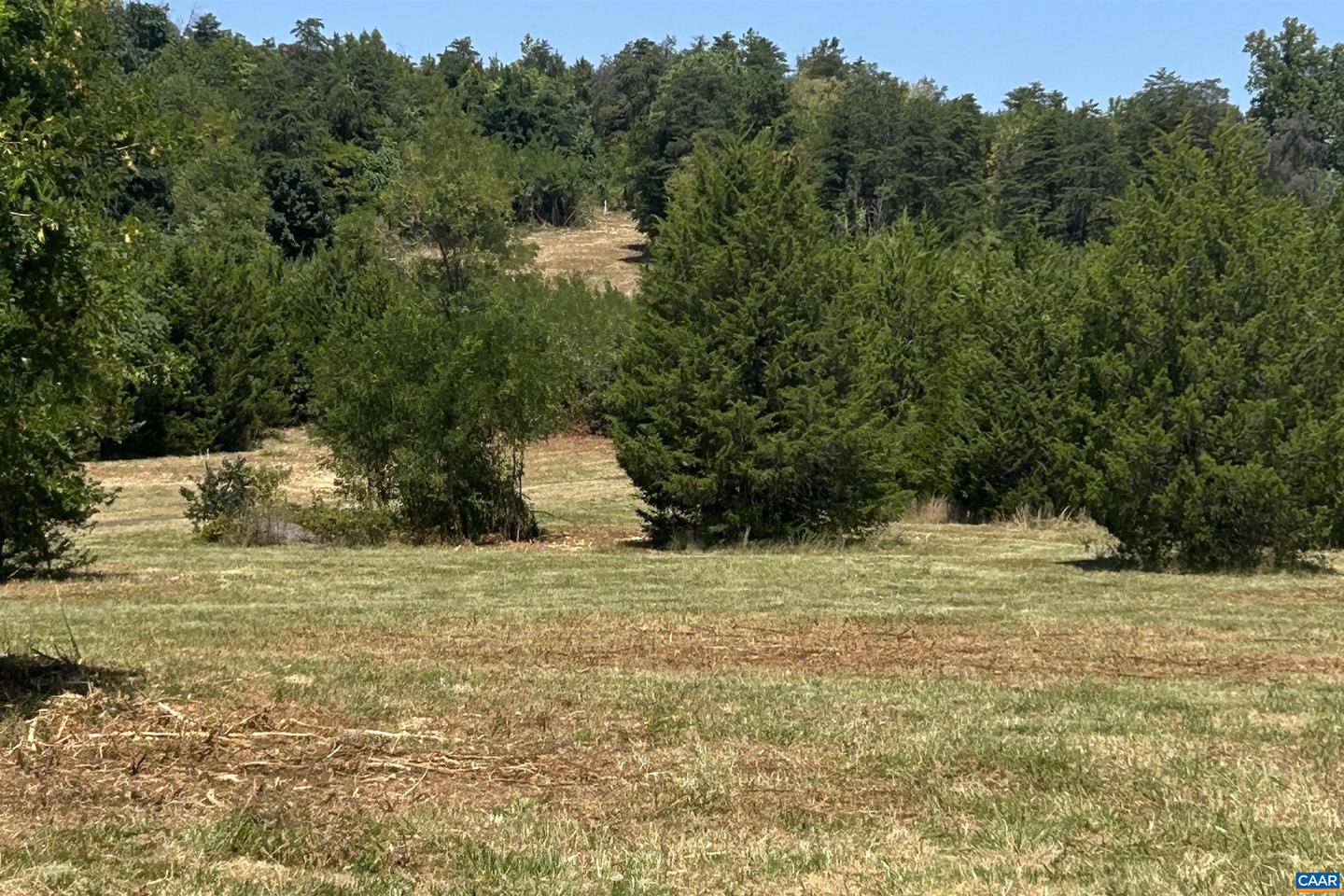 TBD STONE BROOK DR, STANARDSVILLE, Virginia 22973, ,Farm,For Sale,TBD STONE BROOK DR,644808 MLS # 644808