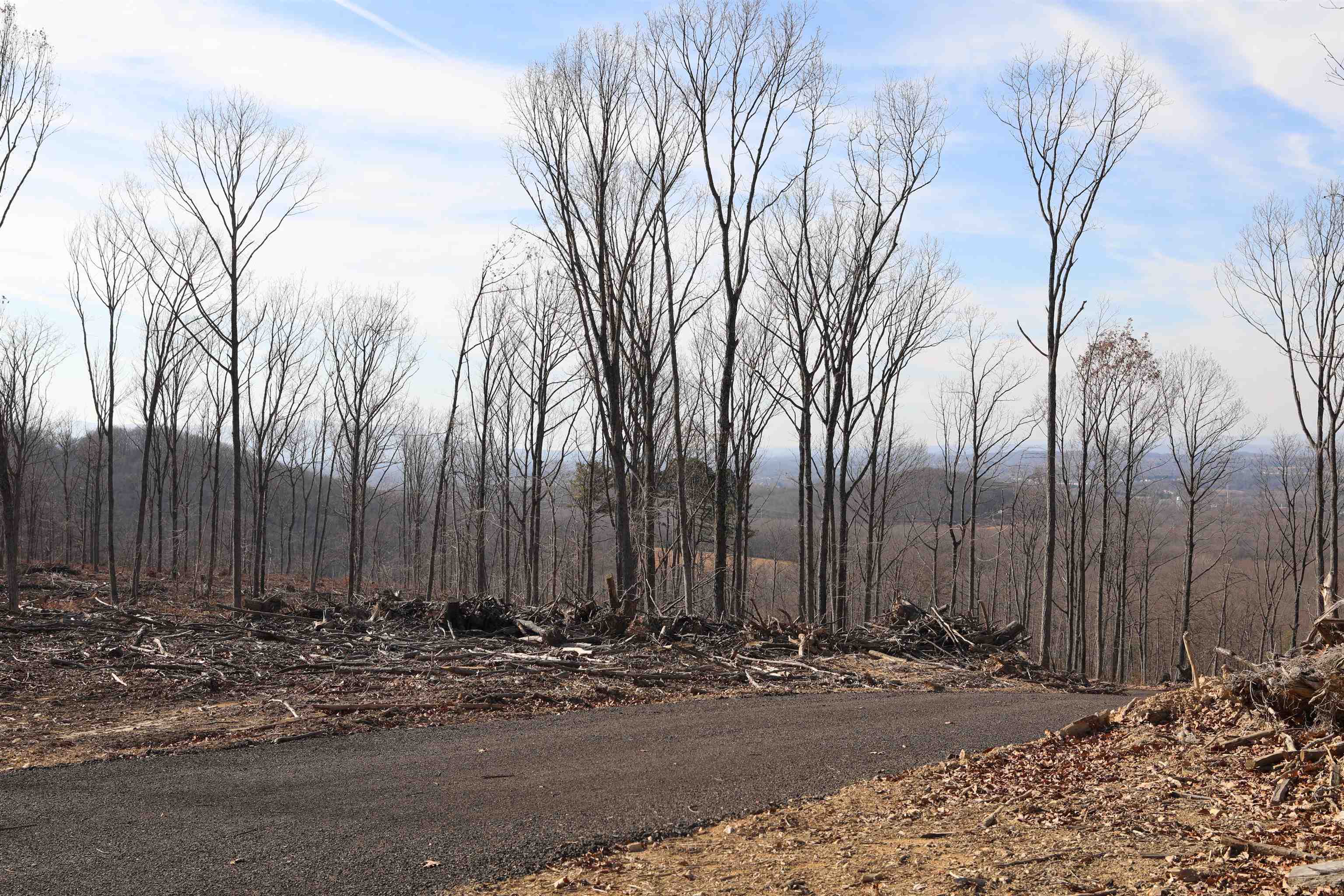 TBD CALF MOUNTAIN RD, WAYNESBORO, Virginia 22980, ,Farm,14,TBD CALF MOUNTAIN RD,644972 MLS # 644972