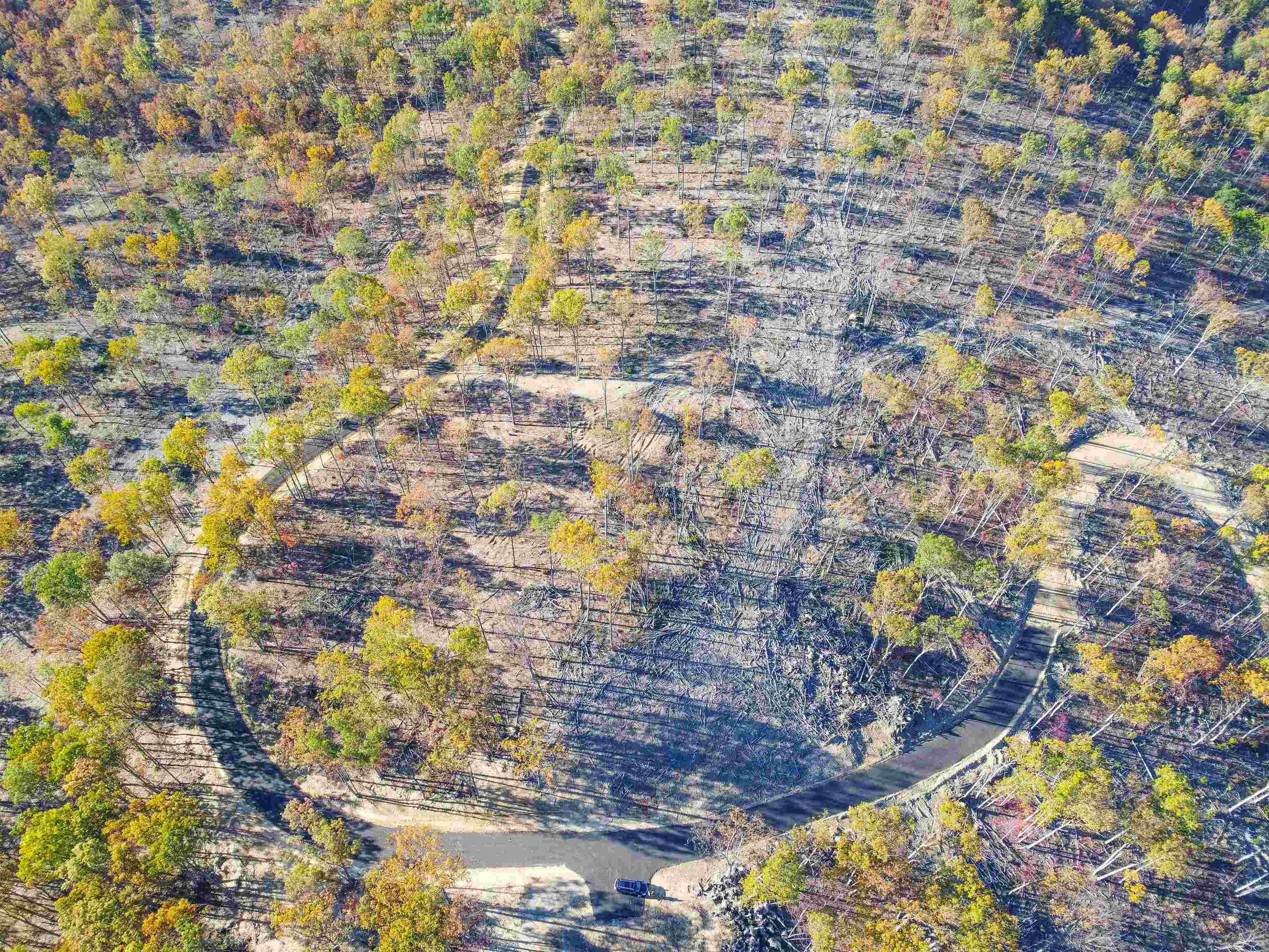 TBD CALF MOUNTAIN RD, WAYNESBORO, Virginia 22980, ,Farm,14,TBD CALF MOUNTAIN RD,644972 MLS # 644972