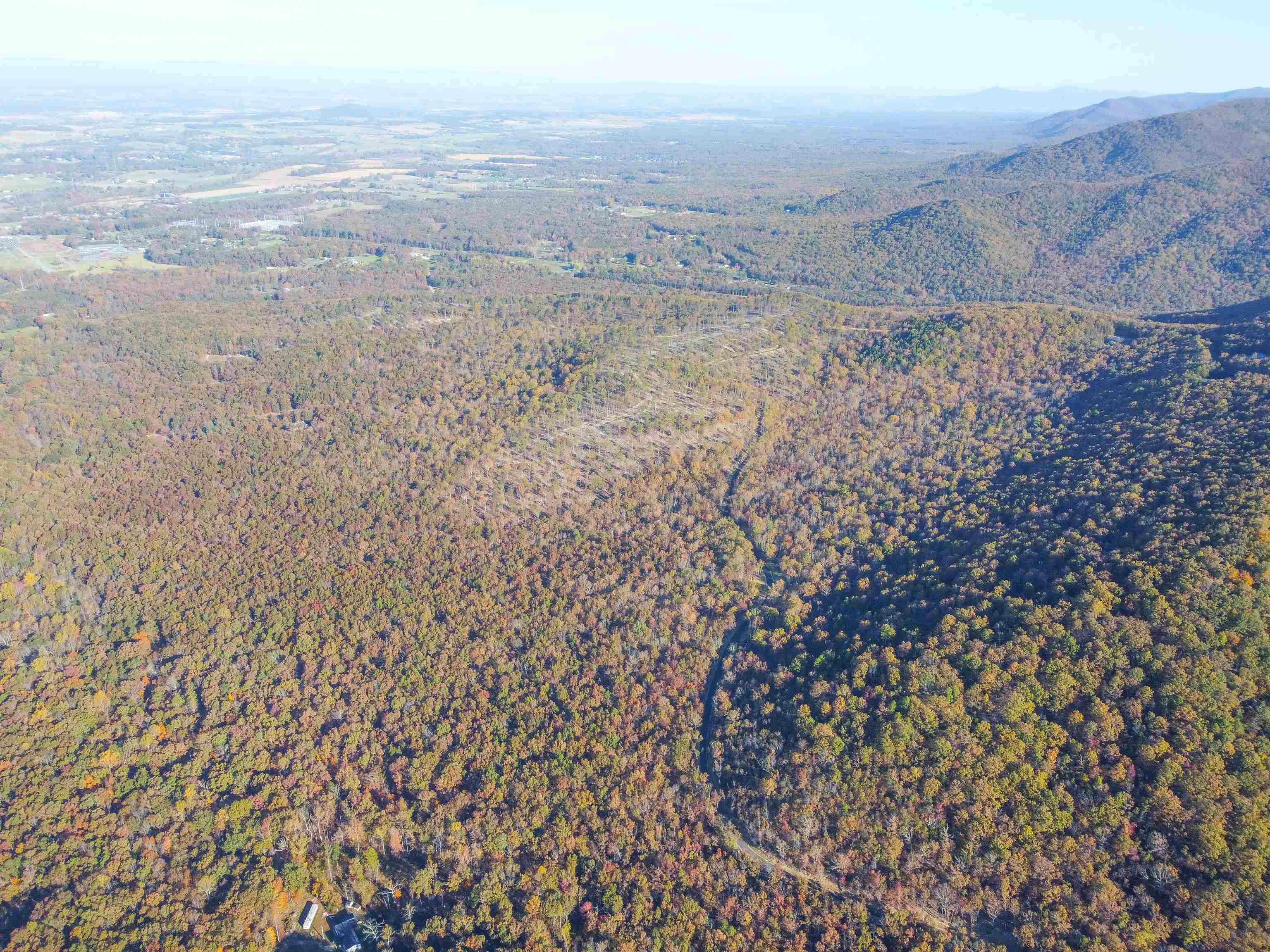 TBD CALF MOUNTAIN RD, WAYNESBORO, Virginia 22980, ,Farm,14,TBD CALF MOUNTAIN RD,644972 MLS # 644972