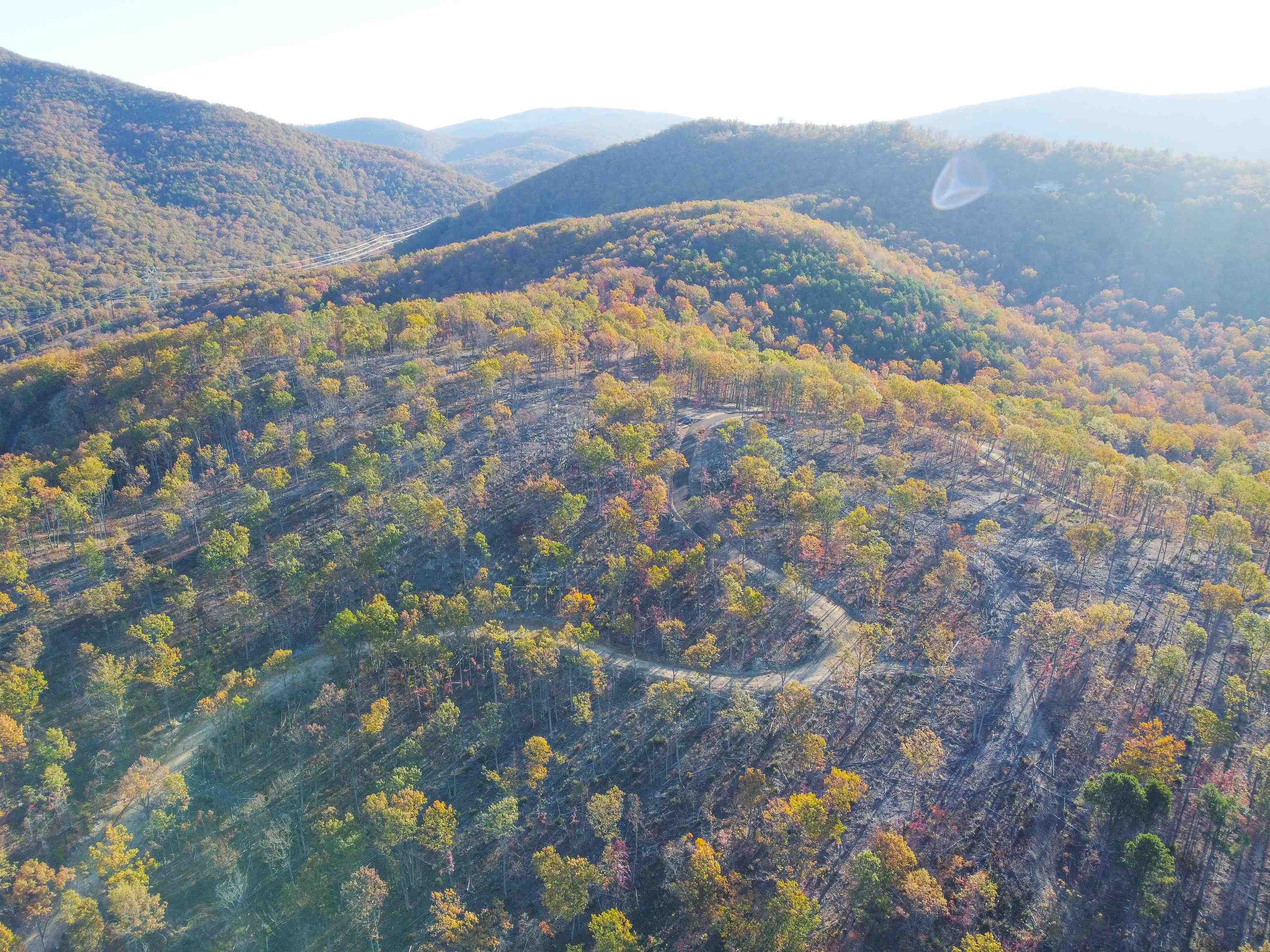 TBD CALF MOUNTAIN RD, WAYNESBORO, Virginia 22980, ,Farm,14,TBD CALF MOUNTAIN RD,644971 MLS # 644971 TBD CALF MOUNTAIN RD, WAYNESBORO, Virginia 22980, ,Farm,14,TBD CALF MOUNTAIN RD,644971 MLS # 644971
