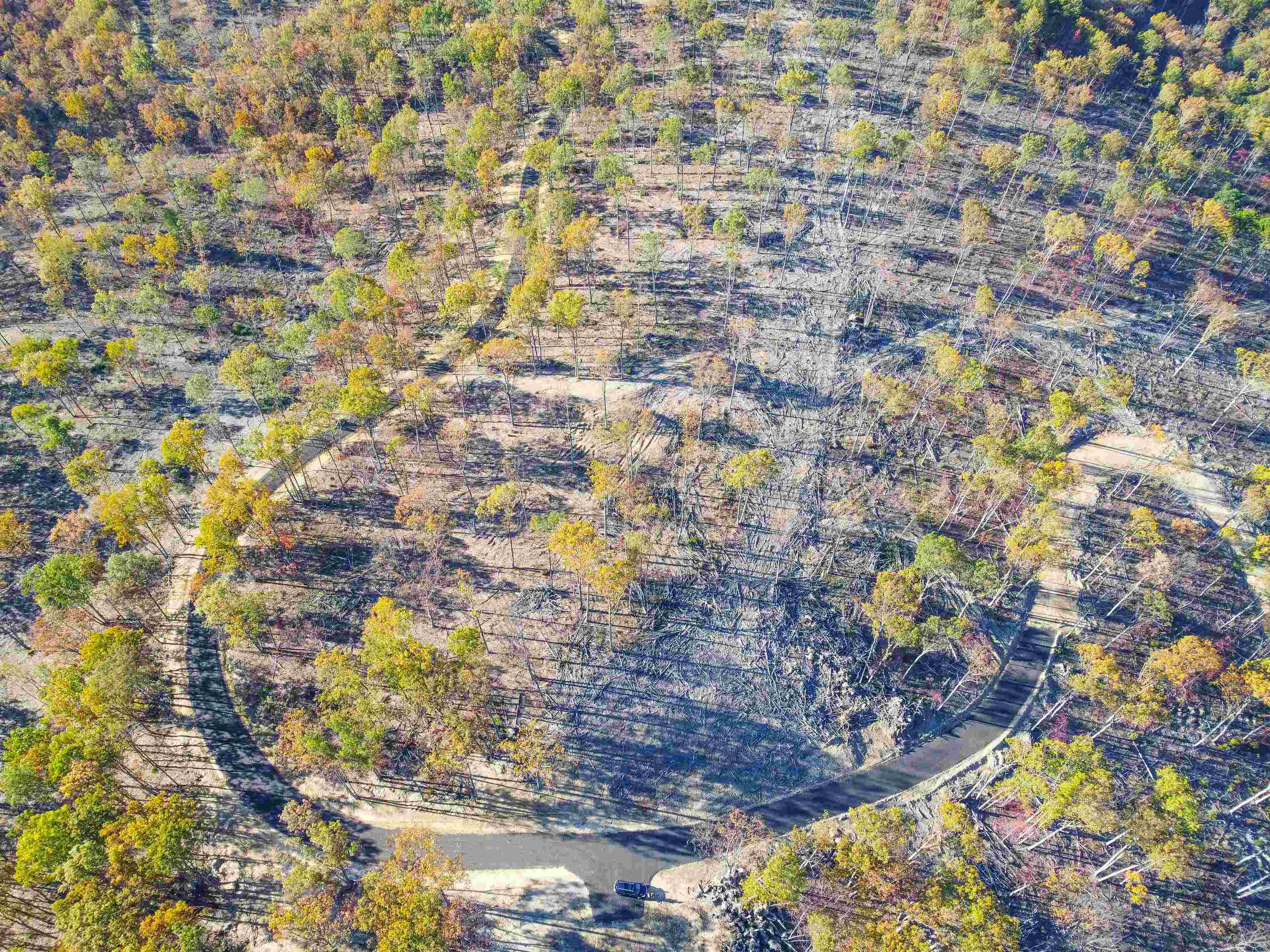 TBD CALF MOUNTAIN RD, WAYNESBORO, Virginia 22980, ,Farm,14,TBD CALF MOUNTAIN RD,644971 MLS # 644971 TBD CALF MOUNTAIN RD, WAYNESBORO, Virginia 22980, ,Farm,14,TBD CALF MOUNTAIN RD,644971 MLS # 644971