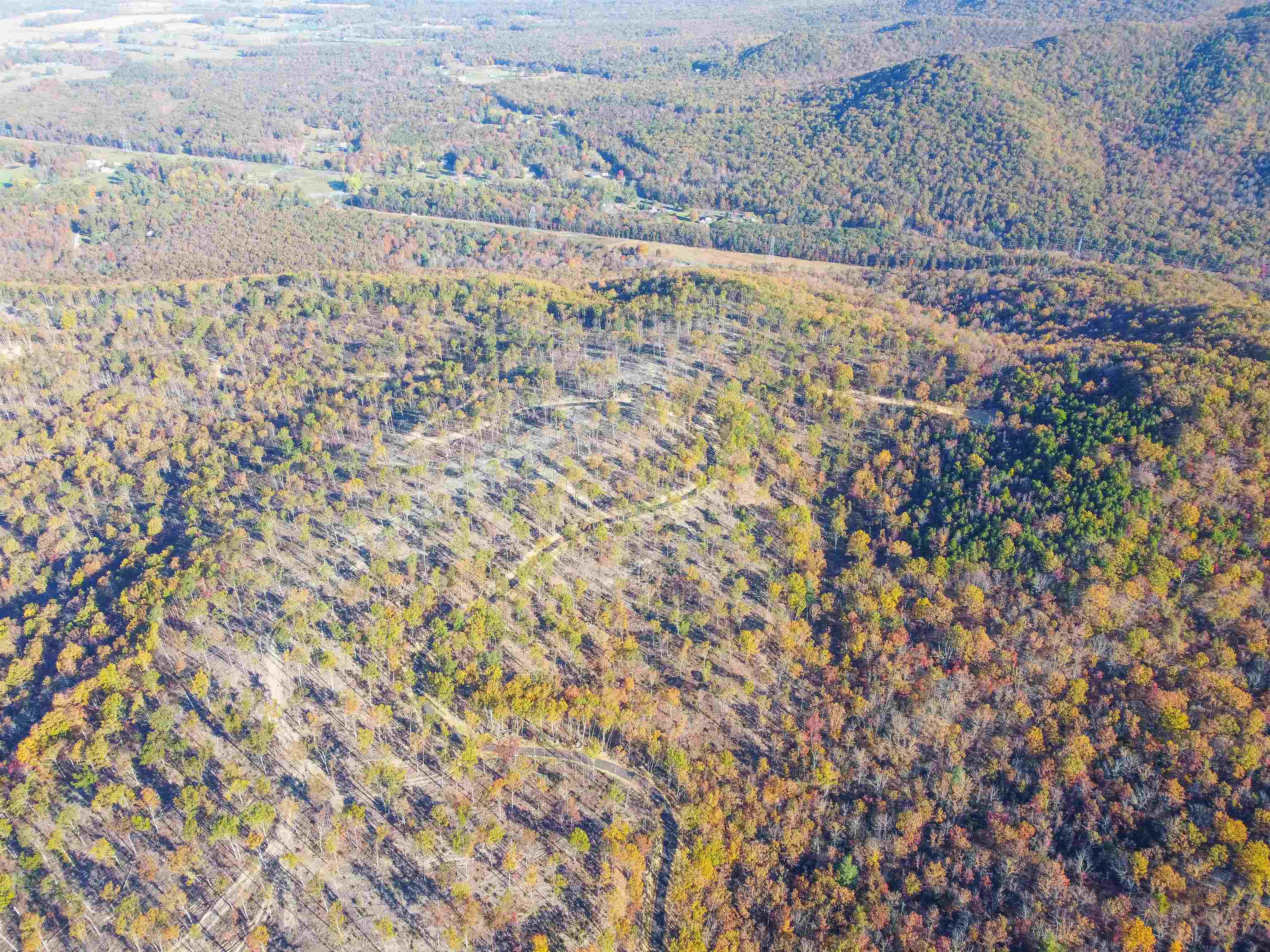 TBD CALF MOUNTAIN RD, WAYNESBORO, Virginia 22980, ,Farm,14,TBD CALF MOUNTAIN RD,644971 MLS # 644971 TBD CALF MOUNTAIN RD, WAYNESBORO, Virginia 22980, ,Farm,14,TBD CALF MOUNTAIN RD,644971 MLS # 644971