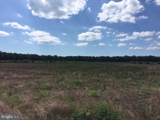 LOT 51 LANKFORD HIGHWAY, NEW CHURCH, Virginia 23415, ,Farm,For Sale,LOT 51 LANKFORD HIGHWAY,VAAC2000750 MLS # VAAC2000750