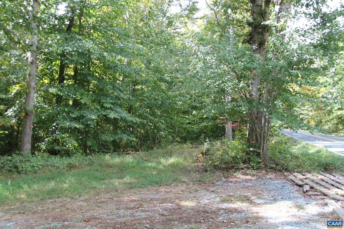 0 LOUISA RD, KESWICK, Virginia 22947, ,Farm,For Sale,0 LOUISA RD,646537 MLS # 646537