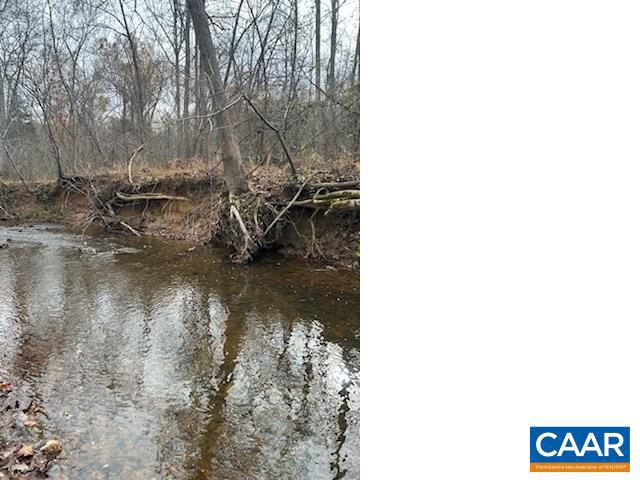 0 LOUISA RD, KESWICK, Virginia 22947, ,Farm,For Sale,0 LOUISA RD,646537 MLS # 646537