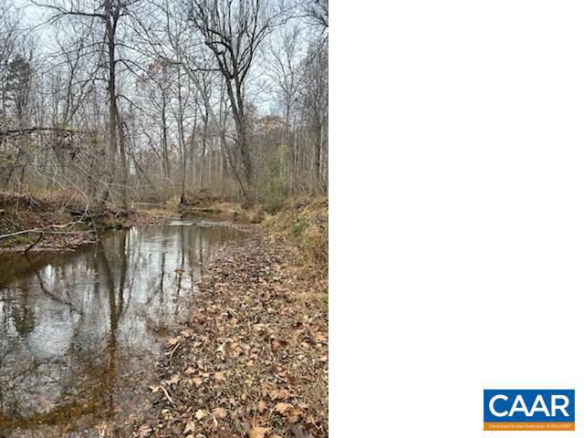 0 LOUISA RD, KESWICK, Virginia 22947, ,Farm,For Sale,0 LOUISA RD,646537 MLS # 646537