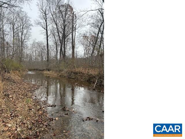 0 LOUISA RD, KESWICK, Virginia 22947, ,Farm,For Sale,0 LOUISA RD,646537 MLS # 646537