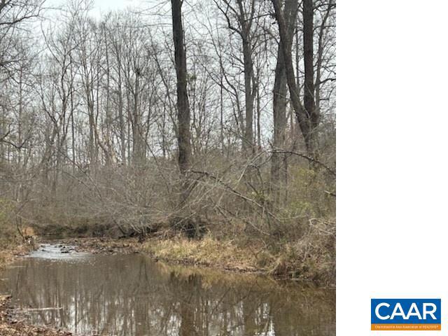 0 LOUISA RD, KESWICK, Virginia 22947, ,Farm,For Sale,0 LOUISA RD,646537 MLS # 646537