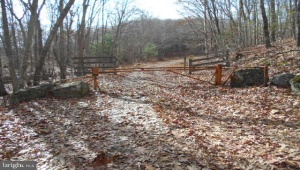 0 WHITETAIL LANE, MONTEREY, Virginia 24465, ,Farm,For Sale,0 WHITETAIL LANE,VAHL2000028 MLS # VAHL2000028