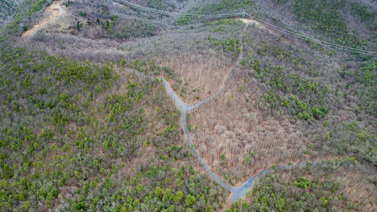 0 TOMS PARK LN, FULKS RUN, Virginia 22830, ,Farm,14,0 TOMS PARK LN,647913 MLS # 647913