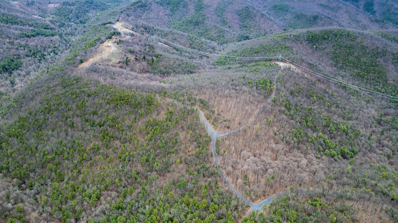 0 TOMS PARK LN, FULKS RUN, Virginia 22830, ,Farm,14,0 TOMS PARK LN,647913 MLS # 647913