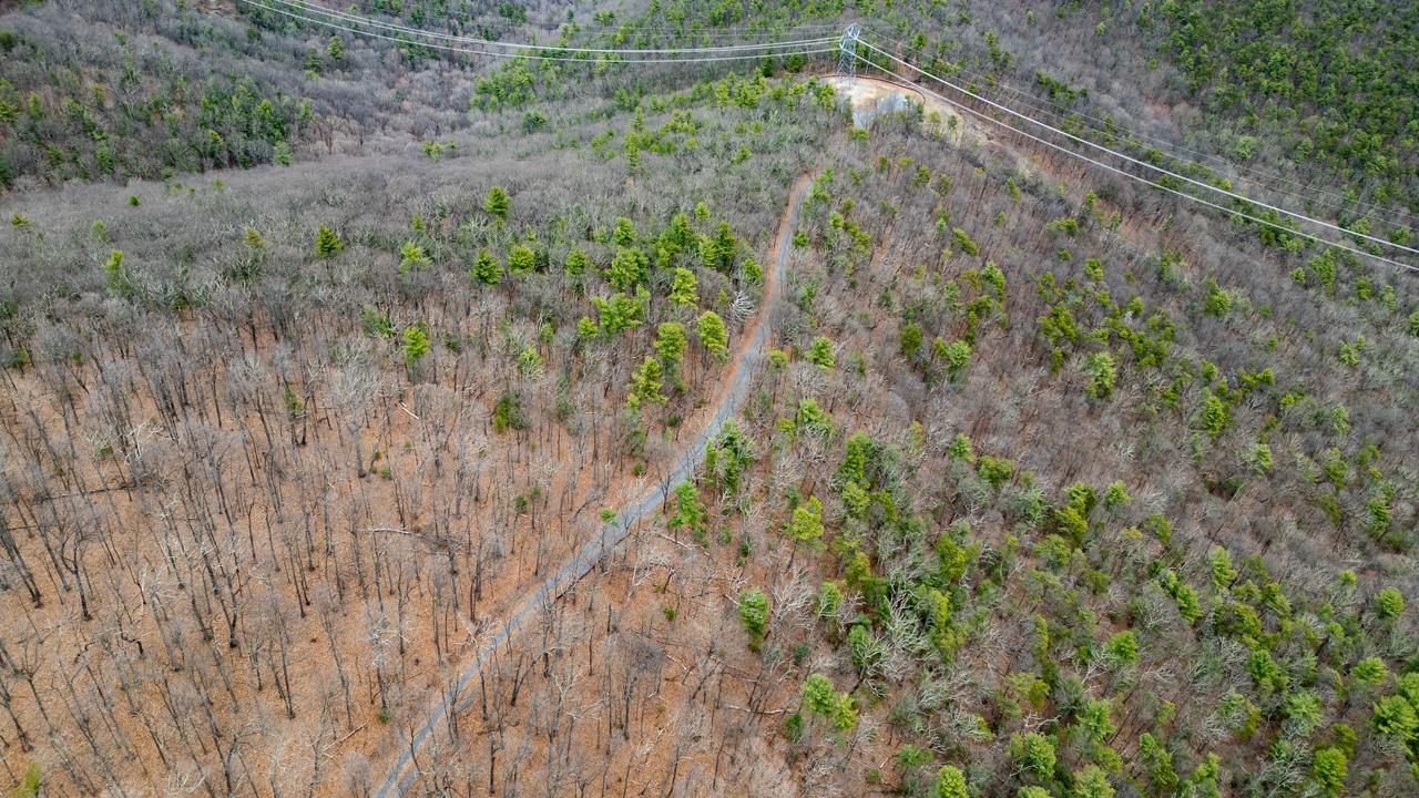 0 TOMS PARK LN, FULKS RUN, Virginia 22830, ,Farm,14,0 TOMS PARK LN,647913 MLS # 647913