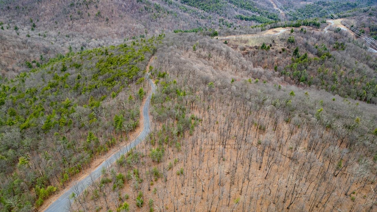 0 TOMS PARK LN, FULKS RUN, Virginia 22830, ,Farm,14,0 TOMS PARK LN,647913 MLS # 647913