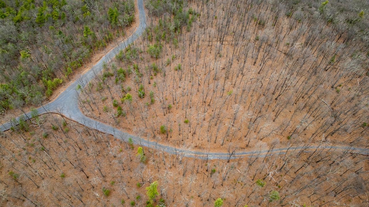 0 TOMS PARK LN, FULKS RUN, Virginia 22830, ,Farm,14,0 TOMS PARK LN,647913 MLS # 647913