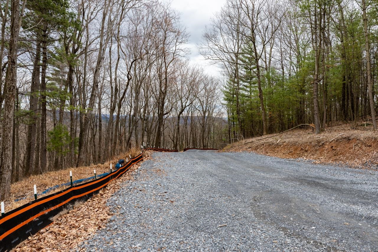 0 TOMS PARK LN, FULKS RUN, Virginia 22830, ,Farm,14,0 TOMS PARK LN,647913 MLS # 647913