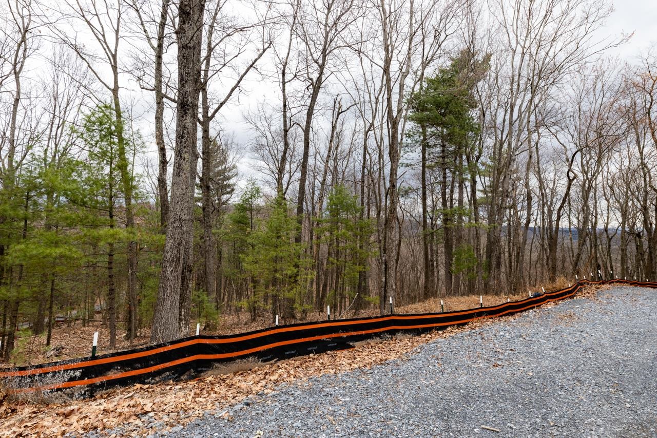 0 TOMS PARK LN, FULKS RUN, Virginia 22830, ,Farm,14,0 TOMS PARK LN,647913 MLS # 647913