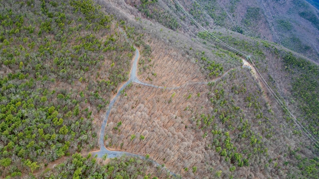 0 TOMS PARK LN, FULKS RUN, Virginia 22830, ,Farm,14,0 TOMS PARK LN,647913 MLS # 647913