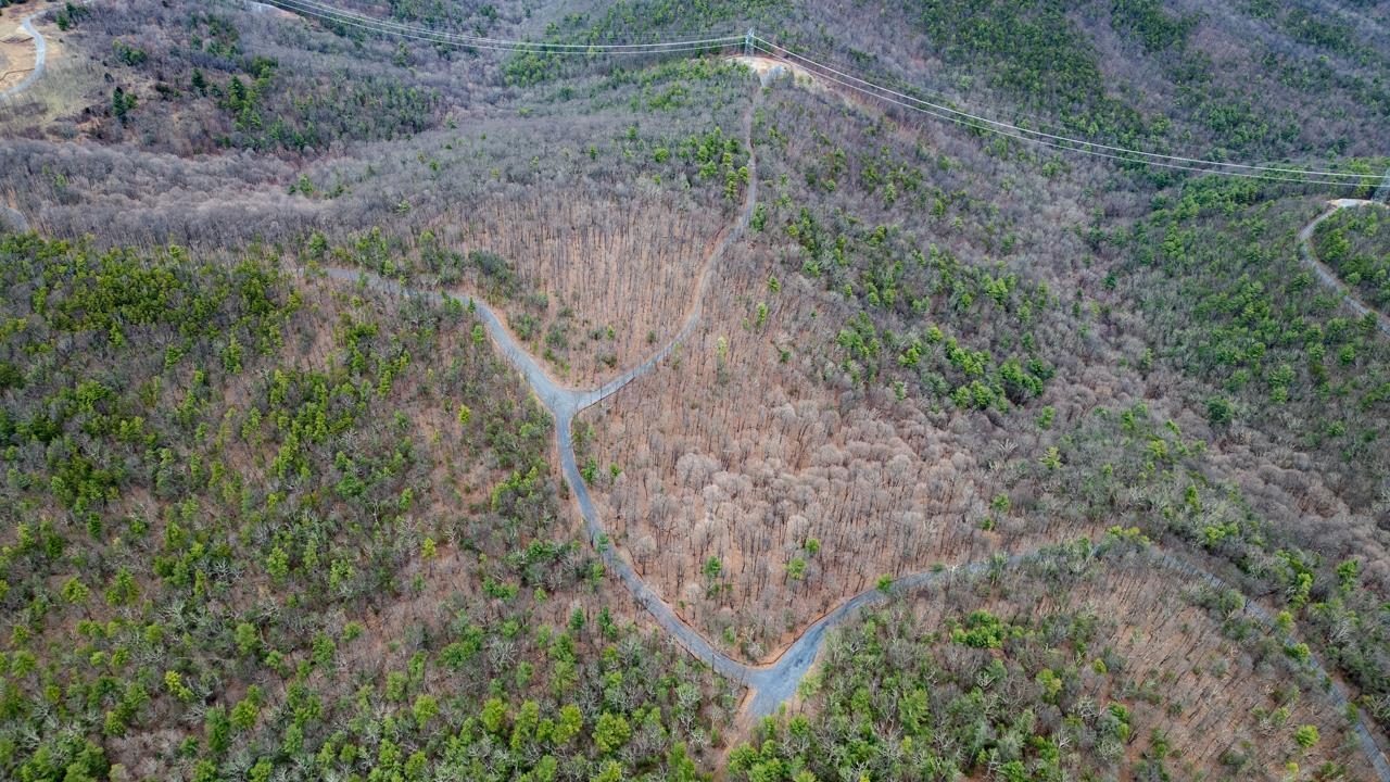 0 TOMS PARK LN, FULKS RUN, Virginia 22830, ,Farm,14,0 TOMS PARK LN,647913 MLS # 647913