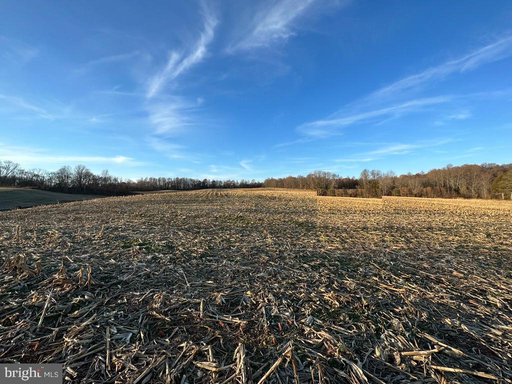 8184 FOX GROVES RD, REMINGTON, Virginia 22734, 2 Bedrooms Bedrooms, ,2 BathroomsBathrooms,Farm,For Sale,8184 FOX GROVES RD,VACU2006544 MLS # VACU2006544 8184 FOX GROVES RD, REMINGTON, Virginia 22734, 2 Bedrooms Bedrooms, ,2 BathroomsBathrooms,Farm,For Sale,8184 FOX GROVES RD,VACU2006544 MLS # VACU2006544