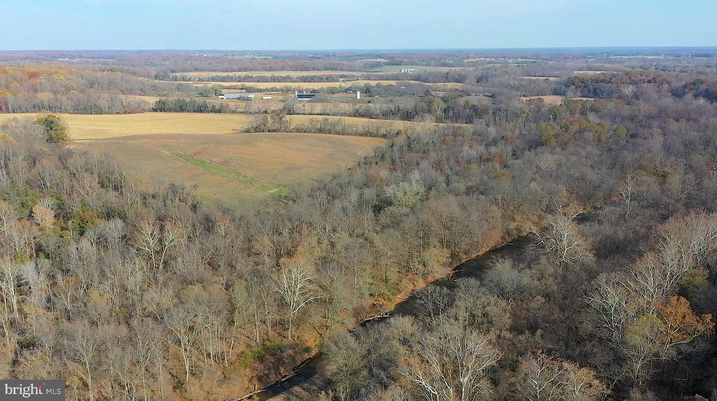 8184 FOX GROVES RD, REMINGTON, Virginia 22734, ,Farm,For Sale,8184 FOX GROVES RD,VACU2006658 MLS # VACU2006658 8184 FOX GROVES RD, REMINGTON, Virginia 22734, ,Farm,For Sale,8184 FOX GROVES RD,VACU2006658 MLS # VACU2006658