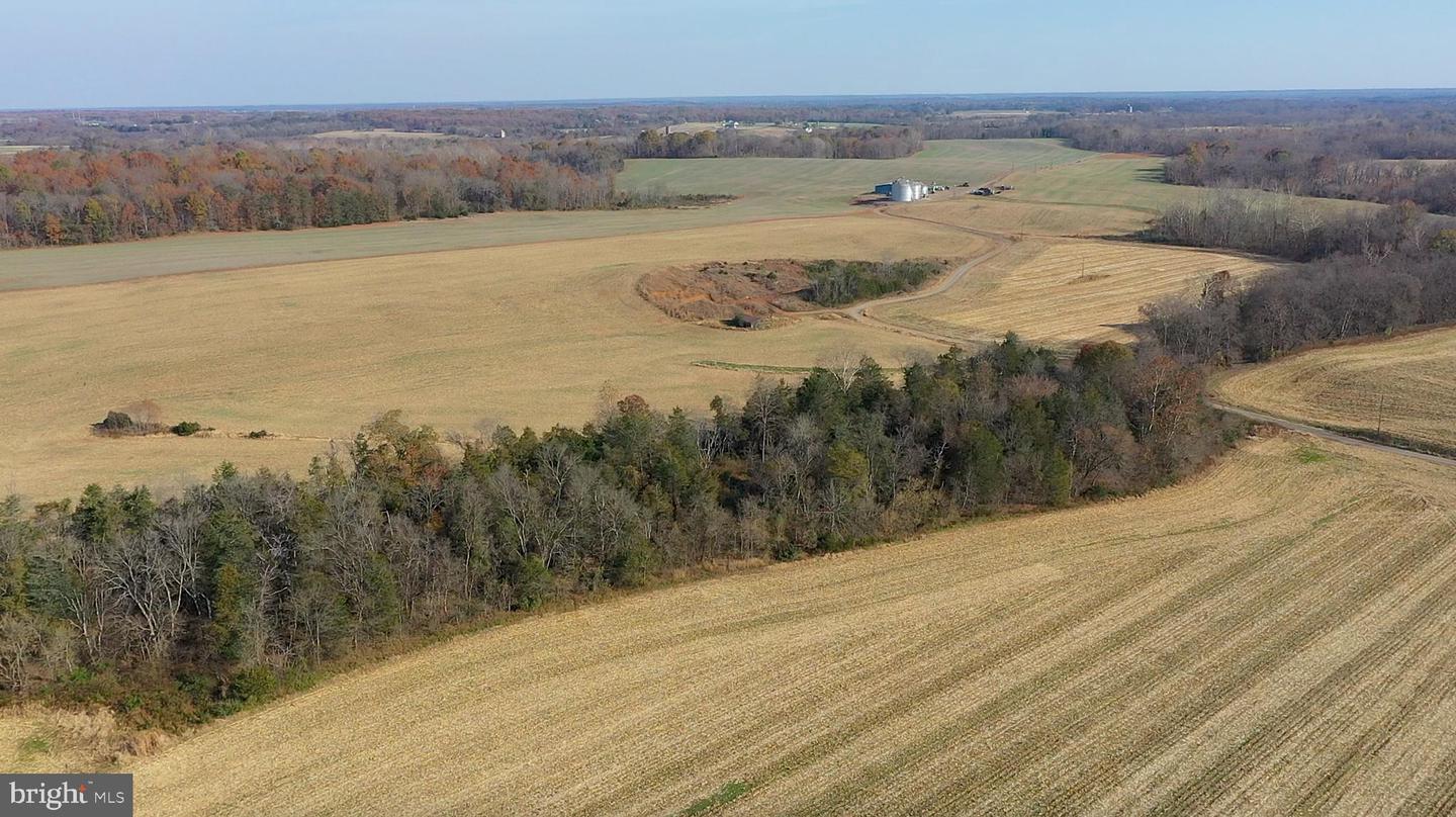 8184 FOX GROVES RD, REMINGTON, Virginia 22734, ,Farm,For Sale,8184 FOX GROVES RD,VACU2006658 MLS # VACU2006658 8184 FOX GROVES RD, REMINGTON, Virginia 22734, ,Farm,For Sale,8184 FOX GROVES RD,VACU2006658 MLS # VACU2006658