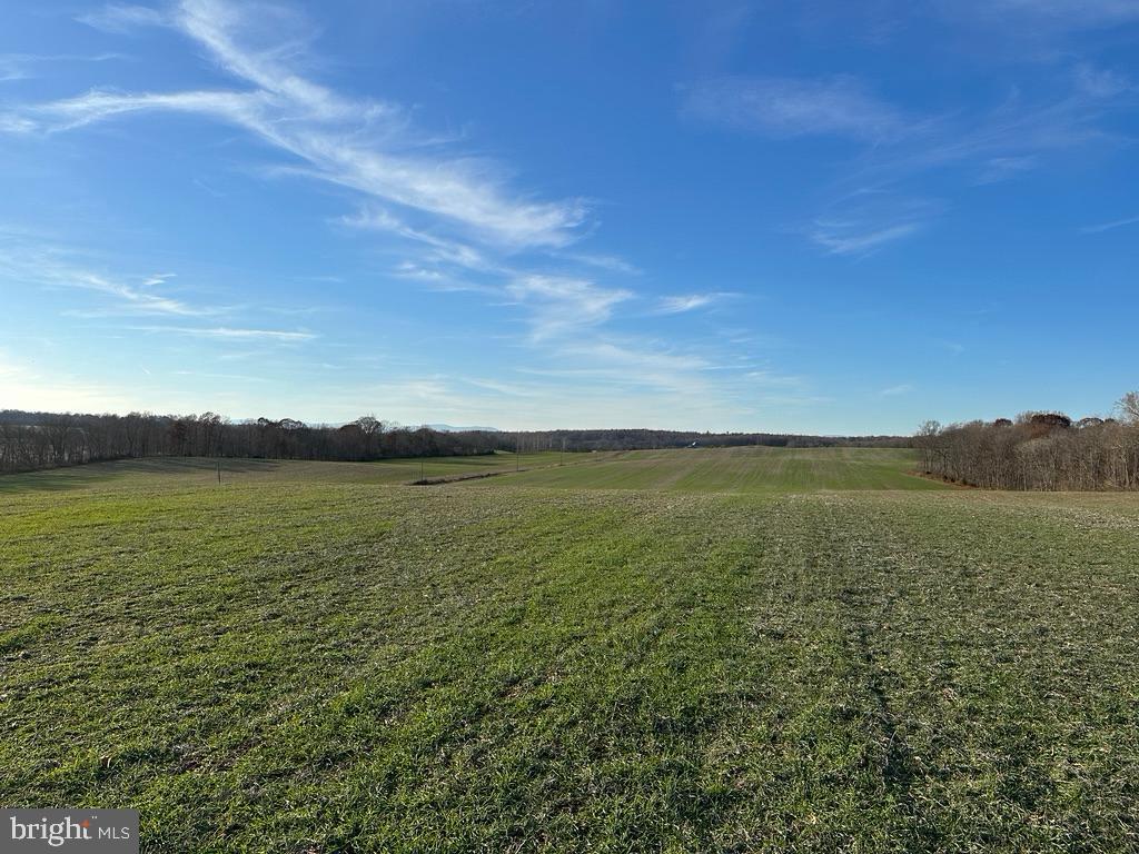 8184 FOX GROVES RD, REMINGTON, Virginia 22734, ,Farm,For Sale,8184 FOX GROVES RD,VACU2006658 MLS # VACU2006658 8184 FOX GROVES RD, REMINGTON, Virginia 22734, ,Farm,For Sale,8184 FOX GROVES RD,VACU2006658 MLS # VACU2006658
