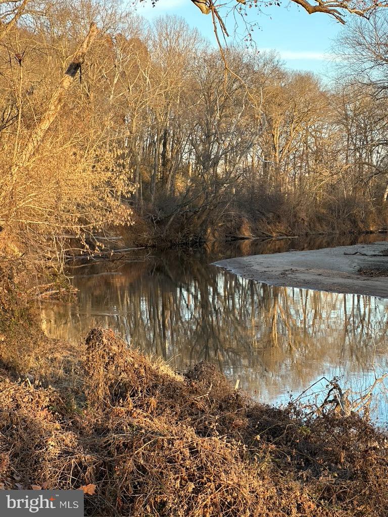 8184 FOX GROVES RD, REMINGTON, Virginia 22734, ,Farm,For Sale,8184 FOX GROVES RD,VACU2006658 MLS # VACU2006658 8184 FOX GROVES RD, REMINGTON, Virginia 22734, ,Farm,For Sale,8184 FOX GROVES RD,VACU2006658 MLS # VACU2006658