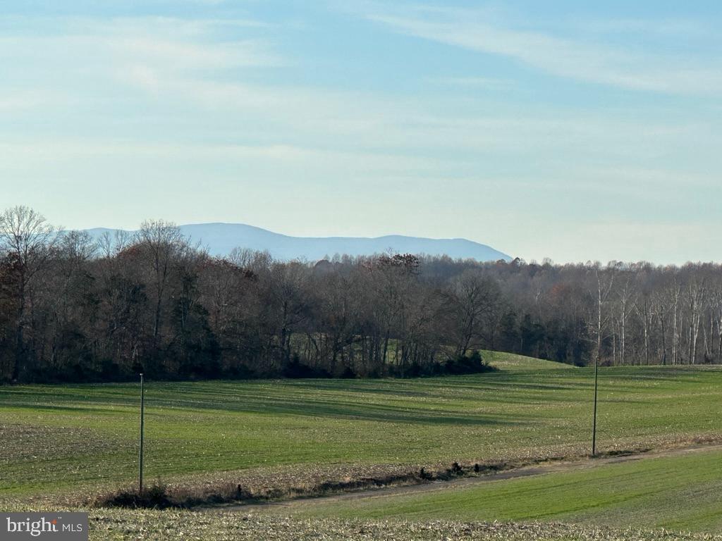 8184 FOX GROVES RD, REMINGTON, Virginia 22734, ,Farm,For Sale,8184 FOX GROVES RD,VACU2006658 MLS # VACU2006658 8184 FOX GROVES RD, REMINGTON, Virginia 22734, ,Farm,For Sale,8184 FOX GROVES RD,VACU2006658 MLS # VACU2006658