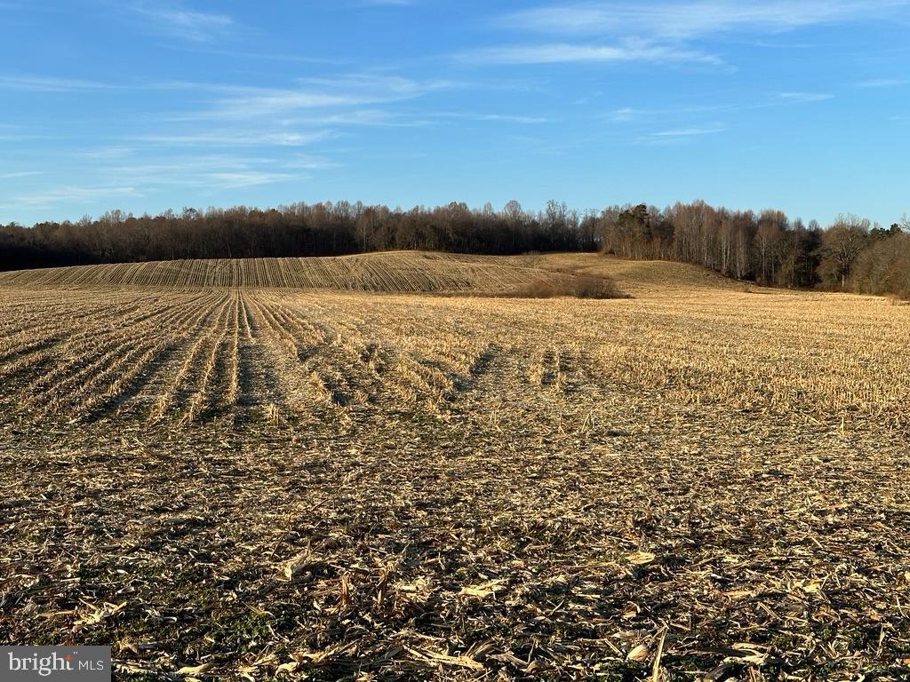 8184 FOX GROVES RD, REMINGTON, Virginia 22734, ,Farm,For Sale,8184 FOX GROVES RD,VACU2006658 MLS # VACU2006658 8184 FOX GROVES RD, REMINGTON, Virginia 22734, ,Farm,For Sale,8184 FOX GROVES RD,VACU2006658 MLS # VACU2006658