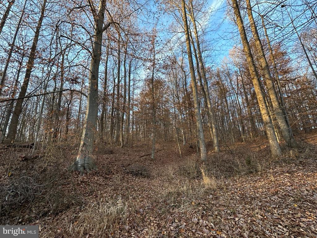 8184 FOX GROVES RD, REMINGTON, Virginia 22734, ,Farm,For Sale,8184 FOX GROVES RD,VACU2006658 MLS # VACU2006658 8184 FOX GROVES RD, REMINGTON, Virginia 22734, ,Farm,For Sale,8184 FOX GROVES RD,VACU2006658 MLS # VACU2006658