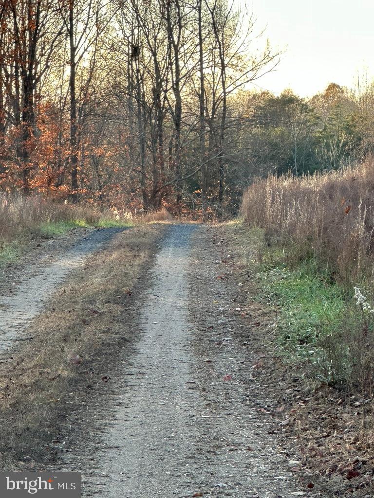 8184 FOX GROVES RD, REMINGTON, Virginia 22734, ,Farm,For Sale,8184 FOX GROVES RD,VACU2006658 MLS # VACU2006658 8184 FOX GROVES RD, REMINGTON, Virginia 22734, ,Farm,For Sale,8184 FOX GROVES RD,VACU2006658 MLS # VACU2006658