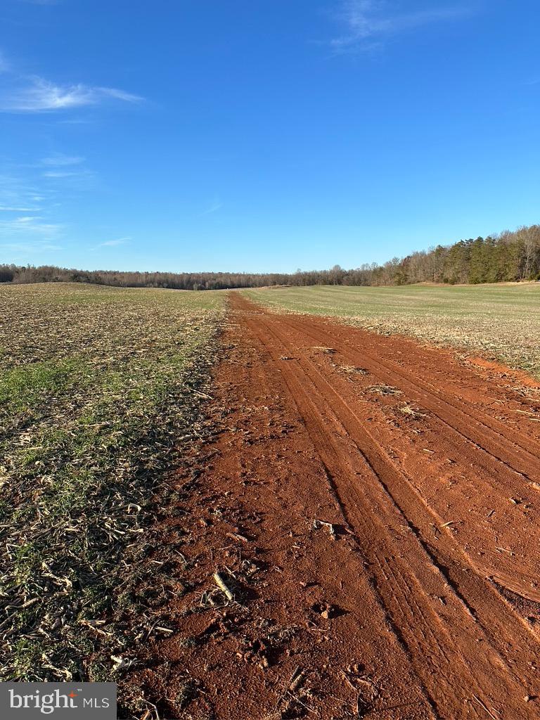 8184 FOX GROVES RD, REMINGTON, Virginia 22734, ,Farm,For Sale,8184 FOX GROVES RD,VACU2006658 MLS # VACU2006658 8184 FOX GROVES RD, REMINGTON, Virginia 22734, ,Farm,For Sale,8184 FOX GROVES RD,VACU2006658 MLS # VACU2006658